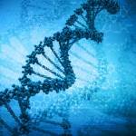 Ученые: ДНК можно использовать для хранения цифровых данных