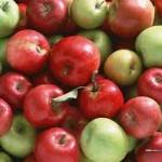 Ученые: яблоки продлевают жизнь 